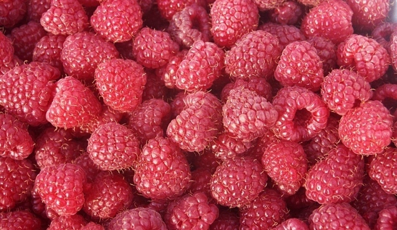 Maliny 