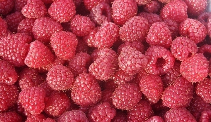 Maliny 