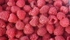 Maliny 