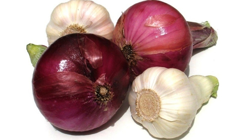 Cibule a česnek 