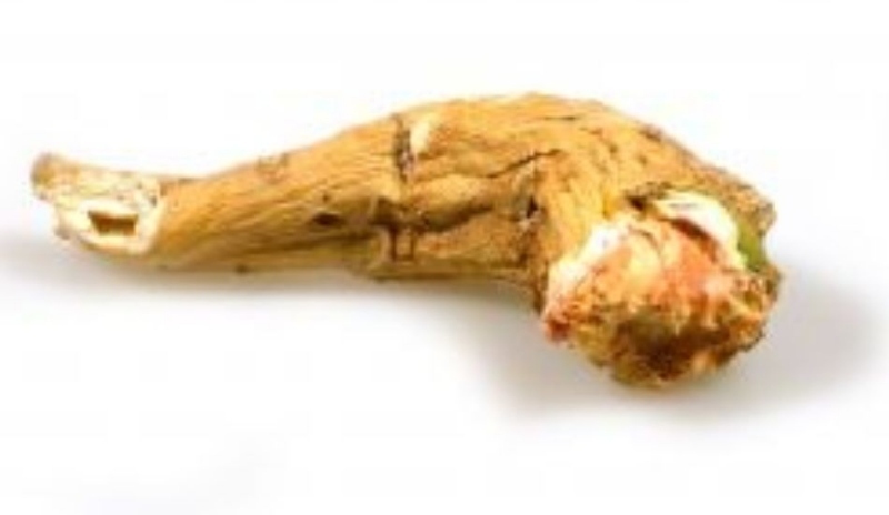 Křen 