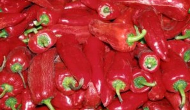 Paprika kapie