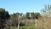 Bažinatá krajina