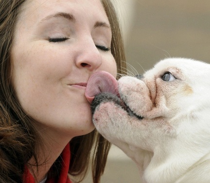 blog.otcvetmeds.com