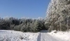 Zasněžená krajina