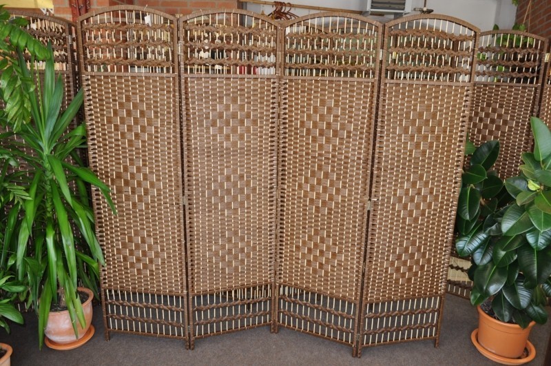 Paravan