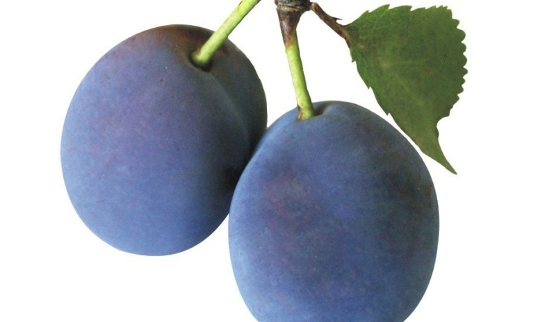 Švestky