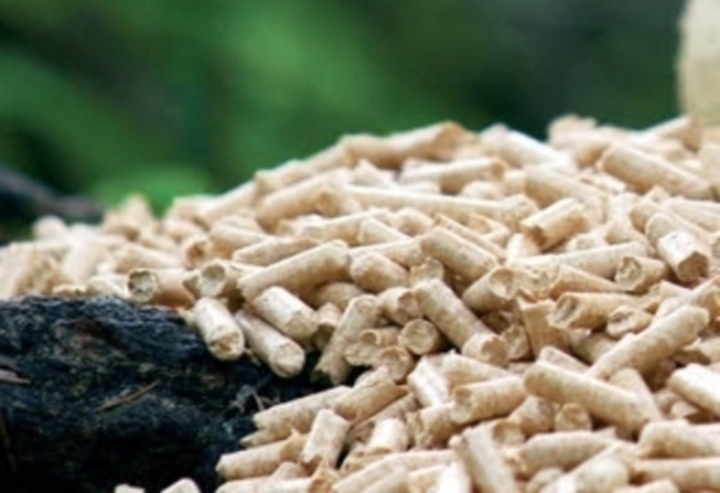 Biomasa 