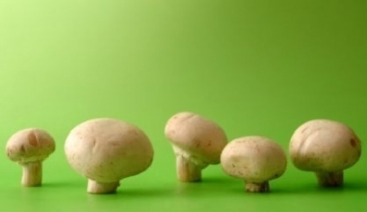 Žampióny