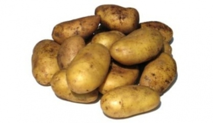 Brambory