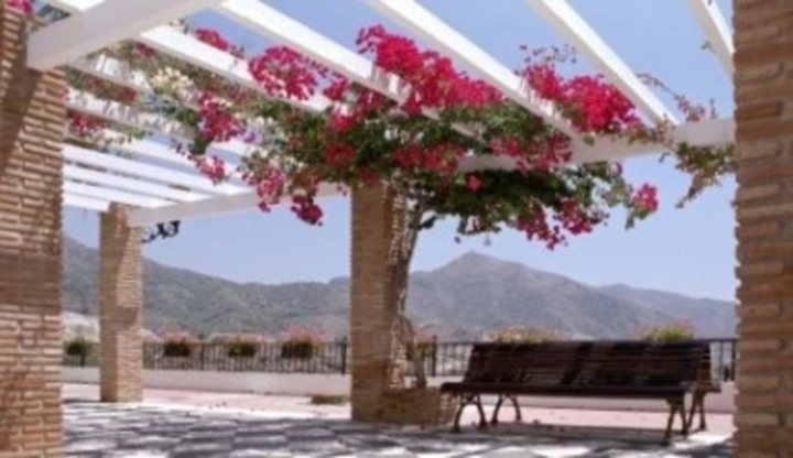 Zahrada, pergola