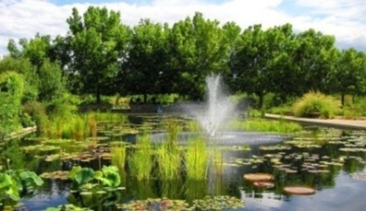 Botanická zahrada