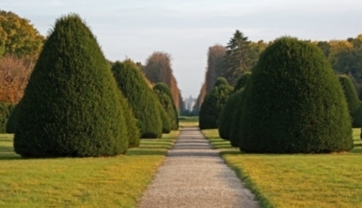 Topiary