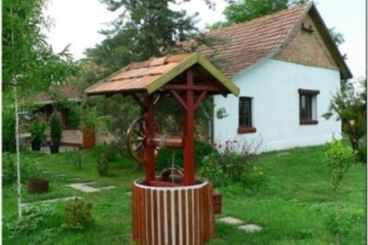 Dřevěná studna 