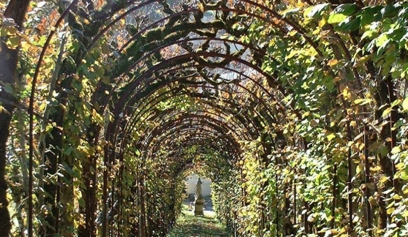 Pergola může zahradu ozvláštnit.