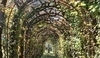 Pergola může zahradu ozvláštnit.