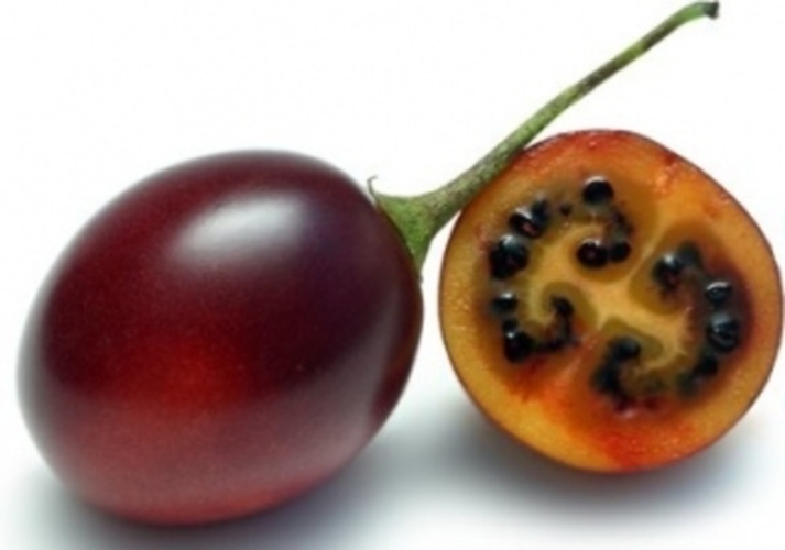 Tamarillo 