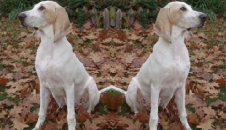 Porcelaine