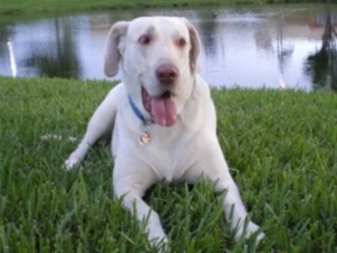 Billy