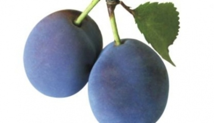 Švestky