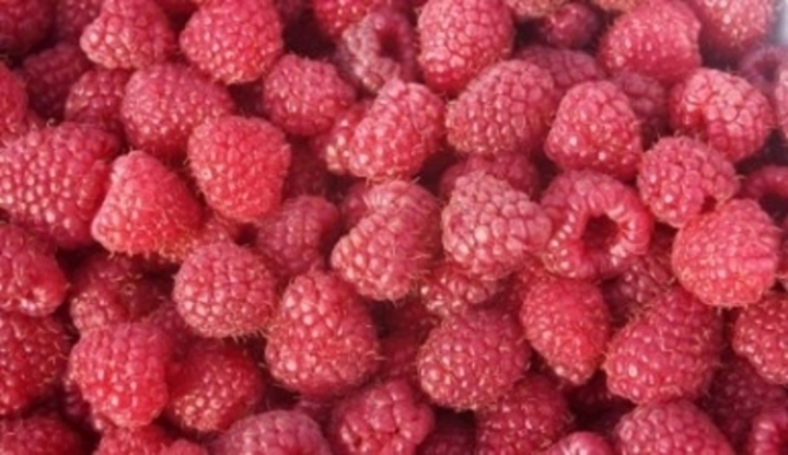 Maliny