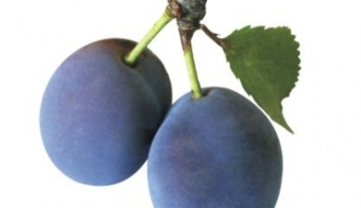 Švestky