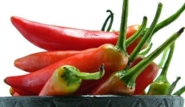 Chilli papričky