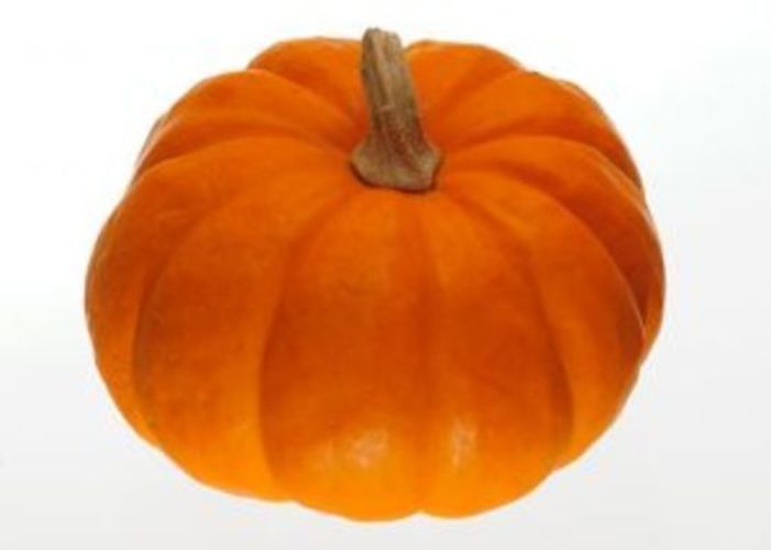 Dýně 