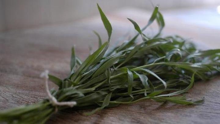 Mexický tarragon