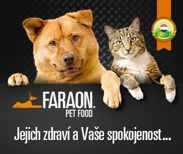 Pes a kočka