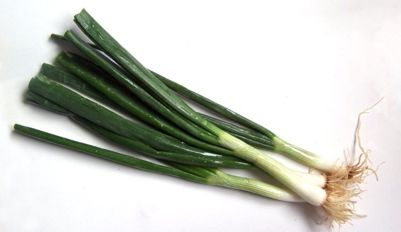 Pórek