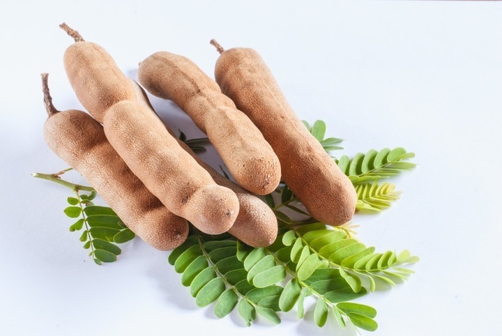 Tamarind indický - plody