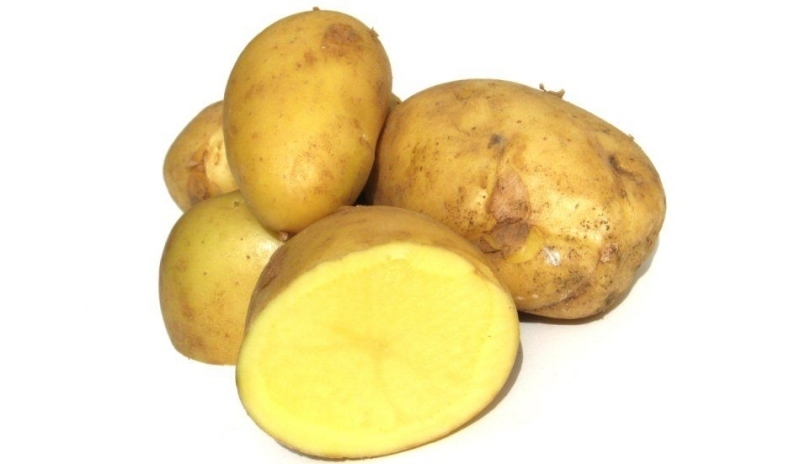 Brambory