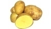 Brambory