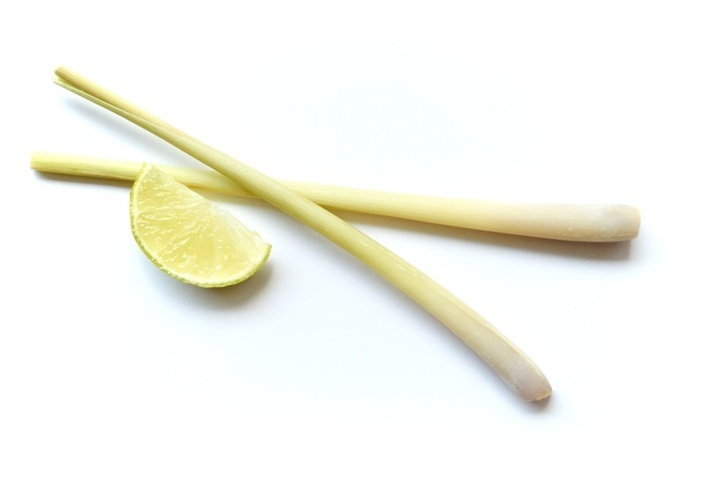 Citronová tráva