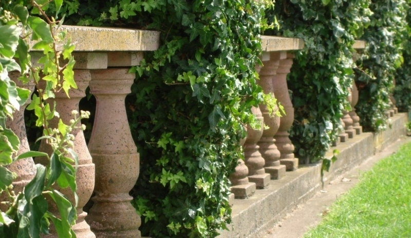 Sloupový plot