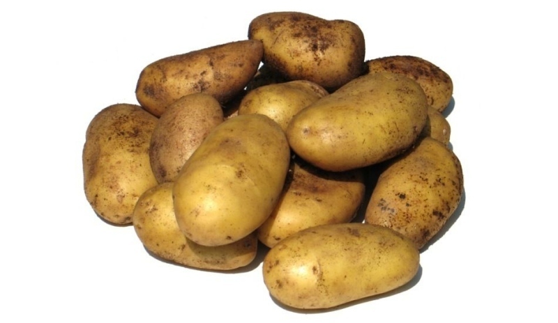 Brambory